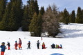 DSC_1239.JPG